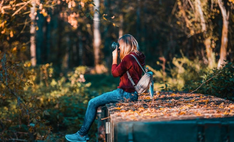 pexels-david-bartus-610294